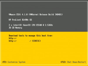ESXi 4.1 Default-Screen